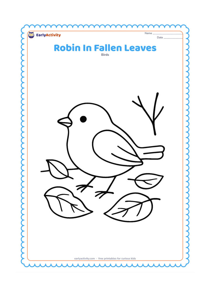 Colouring page: Draw a robin standing on the ground among several large fallen leaves, facing left with one foot slightly raised. Include a simple curved ground line and one bare twig.
