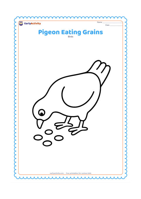 Colouring page: A pigeon bends its head toward scattered grains on the ground. Show the curved neck, lowered beak, two feet, and a few large grain shapes without making them look like letters or symbols.