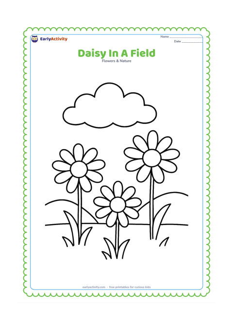 Colouring page: Draw three large daisies of different heights in a grassy field, with simple rounded hills behind them and one large cloud overhead. Keep the flowers widely spaced.