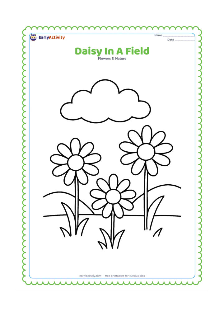 Colouring page: Draw three large daisies of different heights in a grassy field, with simple rounded hills behind them and one large cloud overhead. Keep the flowers widely spaced.