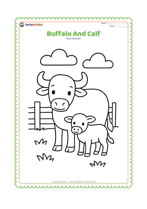Colouring page: Draw a large buffalo standing beside a small calf in a grassy farmyard. Include a simple fence with three rails and two broad clouds behind them.