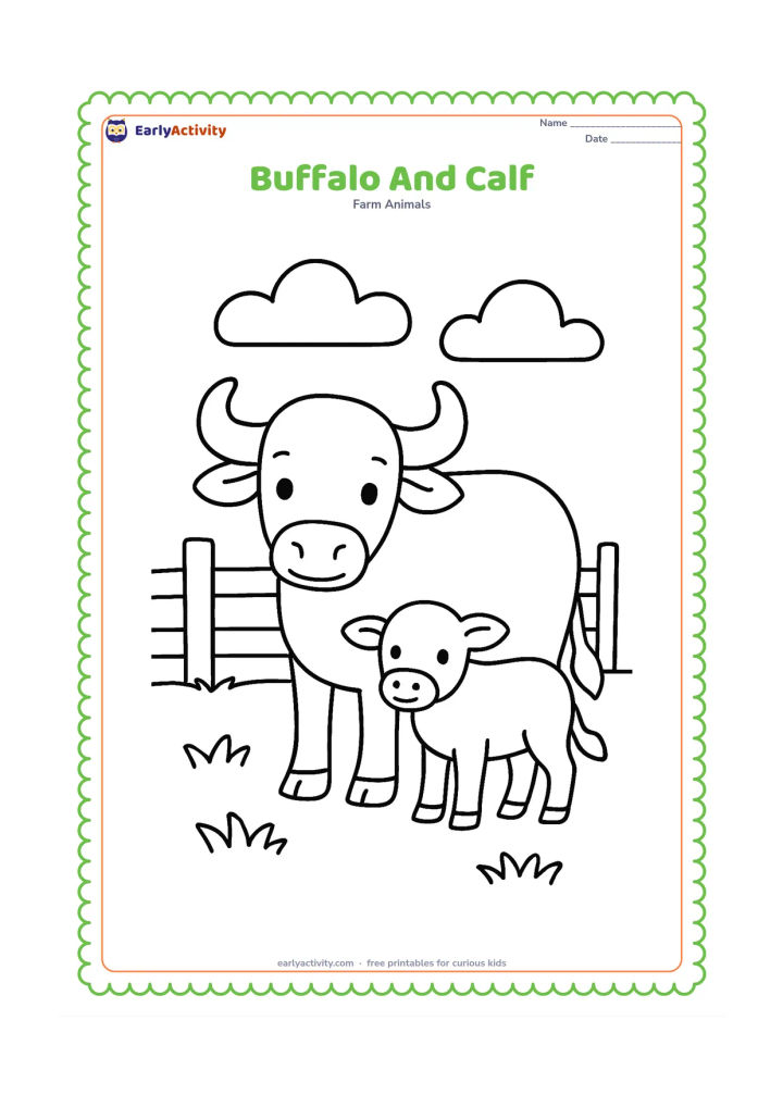 Colouring page: Draw a large buffalo standing beside a small calf in a grassy farmyard. Include a simple fence with three rails and two broad clouds behind them.