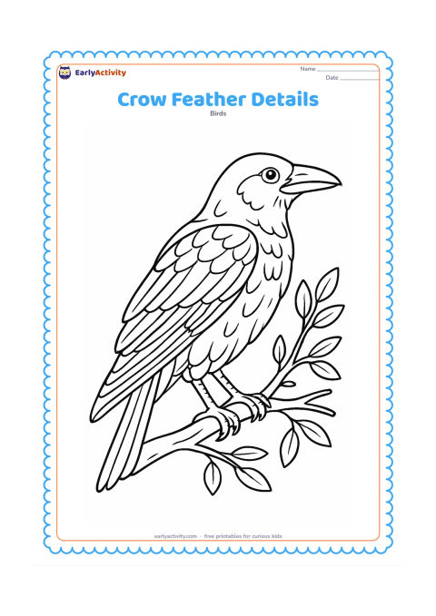 Colouring page: A side-view crow stands on a branch with carefully separated wing, tail, and chest feather sections, plus leaves and small twigs.