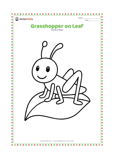 Colouring page: Draw one friendly grasshopper sitting sideways on a large leaf, with two antennae, six visible legs, and oversized jumping legs. Keep the rest of the page open and uncluttered.