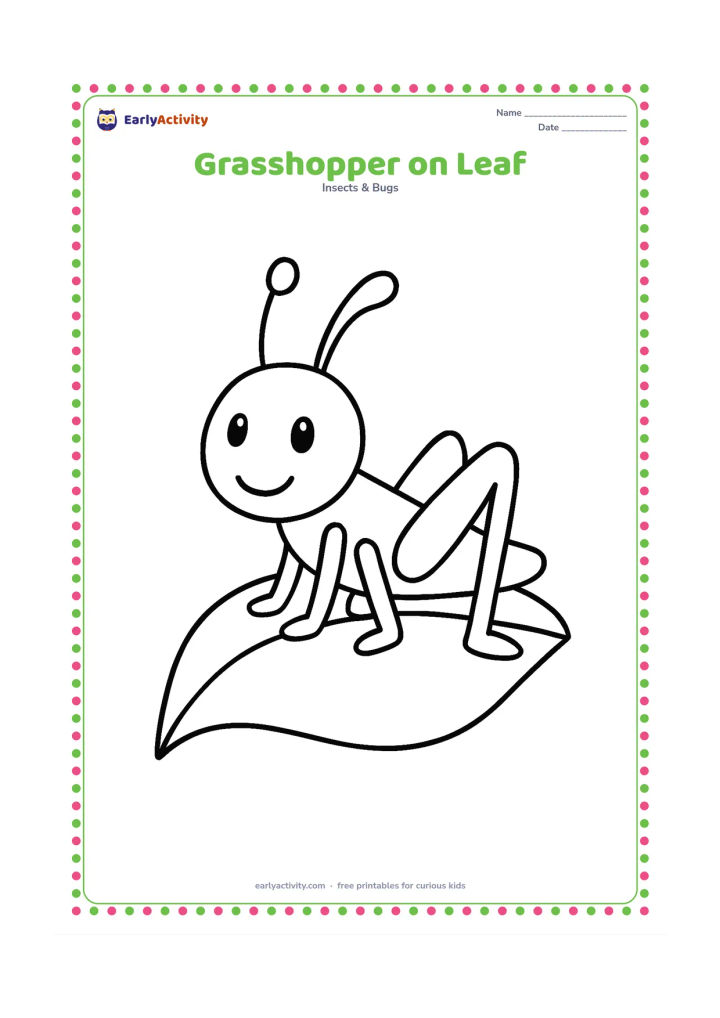 Colouring page: Draw one friendly grasshopper sitting sideways on a large leaf, with two antennae, six visible legs, and oversized jumping legs. Keep the rest of the page open and uncluttered.