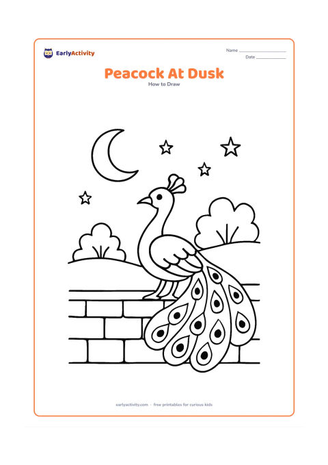 Worksheet: A peacock perches on a low stone wall at dusk with a crescent moon, a few stars, distant trees and an open tail behind it. The bird's silhouette and curved neck should remain easy to…