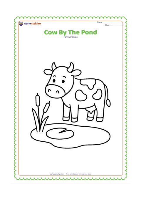 Colouring page: A cow stands beside a small pond with two reeds and a large lily pad. The cow looks down toward the water while its reflection is suggested with a simple curved shape.
