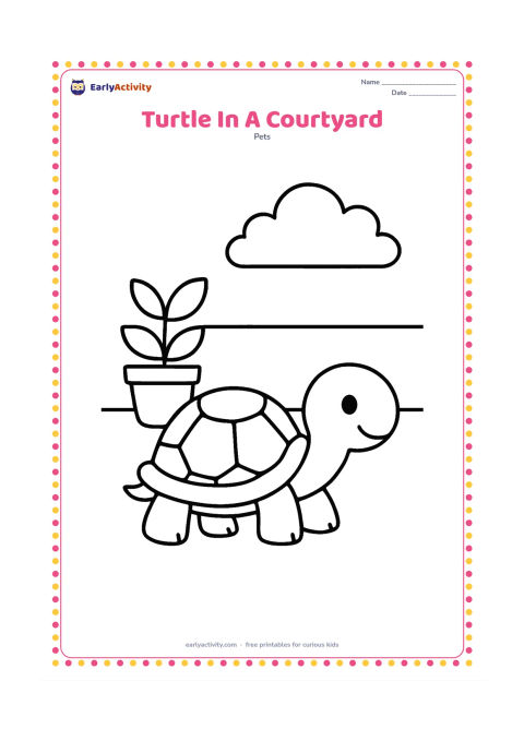 Colouring page: A pet turtle walks across an open home courtyard with a simple pot plant and a low wall in the background. Leave the centre clear around the turtle.