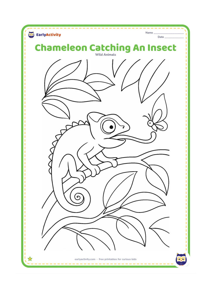 Colouring page: A chameleon on a branch shoots its long tongue toward a small moth-like insect near a leaf. Add layered leaves, a curled tail and visible eye ridges.