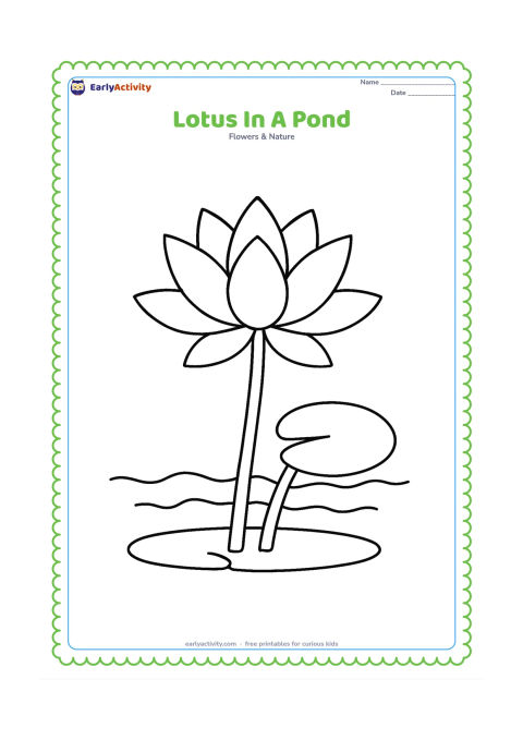 Colouring page: Draw a large lotus rising from a small pond with one round leaf floating nearby. Show a simple muddy underwater line below the water and two broad stems above it.