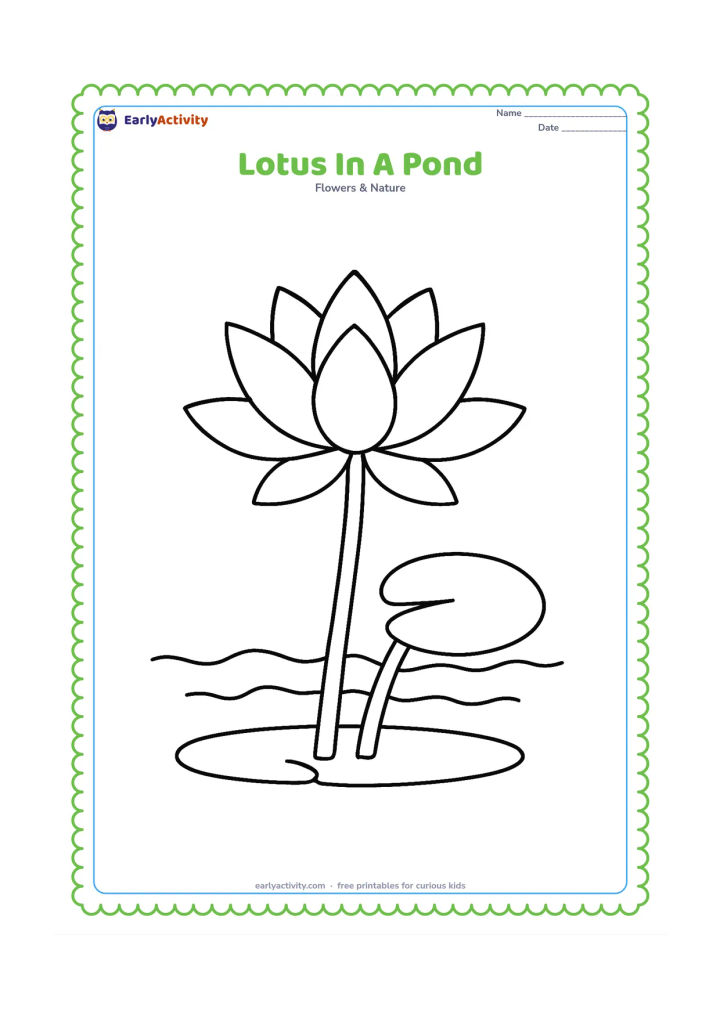 Colouring page: Draw a large lotus rising from a small pond with one round leaf floating nearby. Show a simple muddy underwater line below the water and two broad stems above it.