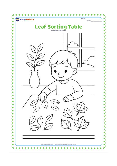 Colouring page: A child at a classroom table sorts several fallen leaves into three open groups by shape, with a simple vase of leafy branches and a window in the background.