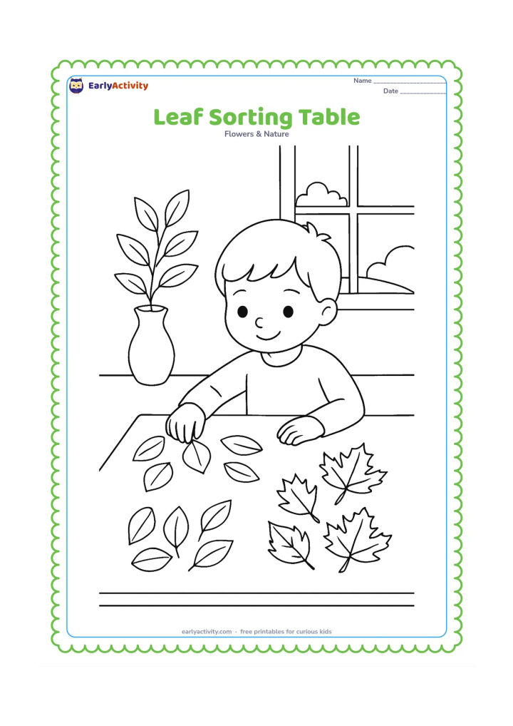 Colouring page: A child at a classroom table sorts several fallen leaves into three open groups by shape, with a simple vase of leafy branches and a window in the background.