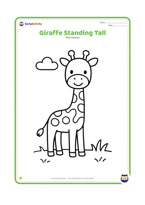 Colouring page: A friendly giraffe stands facing forward with its long neck, four legs, tail and small ossicones clearly visible. Place it in an open patch of grass with one small cloud and plenty of…