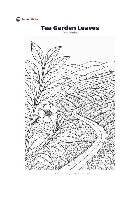 Colouring page: Show rows of tea bushes curving across a hillside, with a close foreground branch carrying fresh leaves and a small flower. Add a narrow path and layered hills behind the plants.