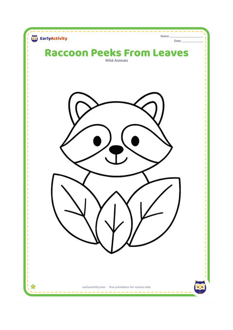 Colouring page: Draw only the friendly head and upper body of a raccoon peeking through three oversized leaves, with its round ears and mask clearly visible. Add one broad stem on each side.