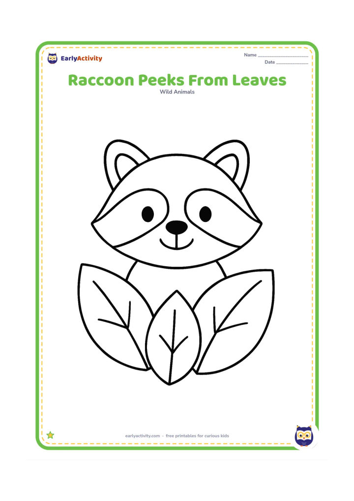 Colouring page: Draw only the friendly head and upper body of a raccoon peeking through three oversized leaves, with its round ears and mask clearly visible. Add one broad stem on each side.