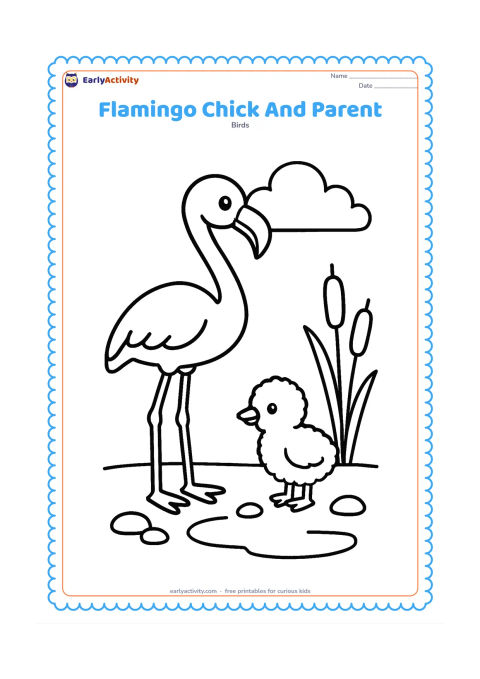Colouring page: Draw a tall adult flamingo beside a small fluffy chick near a shallow pond. Add two rounded reeds, a few pebbles and a simple cloud behind them.