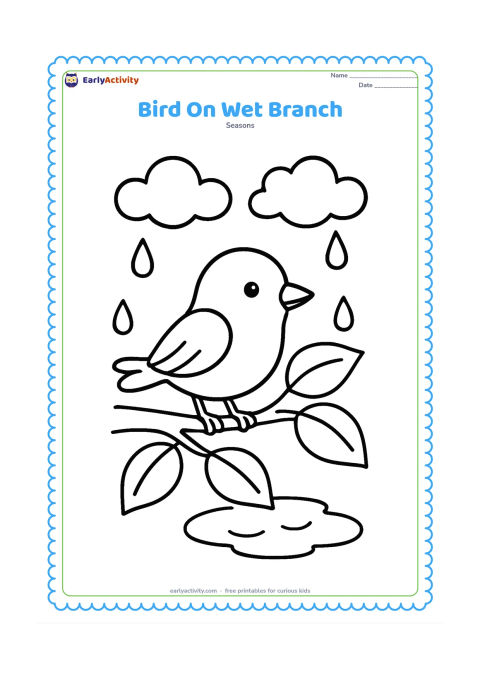 Colouring page: A friendly small bird perches on a low branch after rain, with three large leaves, a puddle below, and clouds overhead. The bird faces sideways with its wings folded.