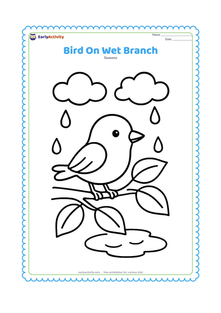 Colouring page: A friendly small bird perches on a low branch after rain, with three large leaves, a puddle below, and clouds overhead. The bird faces sideways with its wings folded.