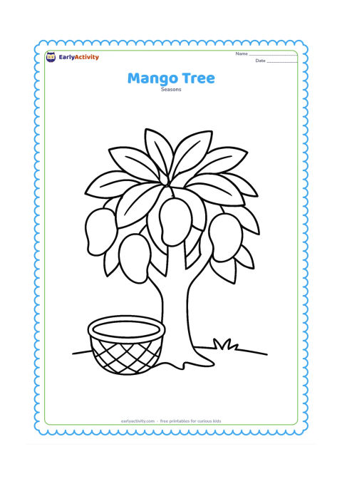 Colouring page: A friendly-looking mango tree fills the scene with a thick trunk, broad leaves and several large mangoes. Place a round basket beneath it and add a low grassy ground line.