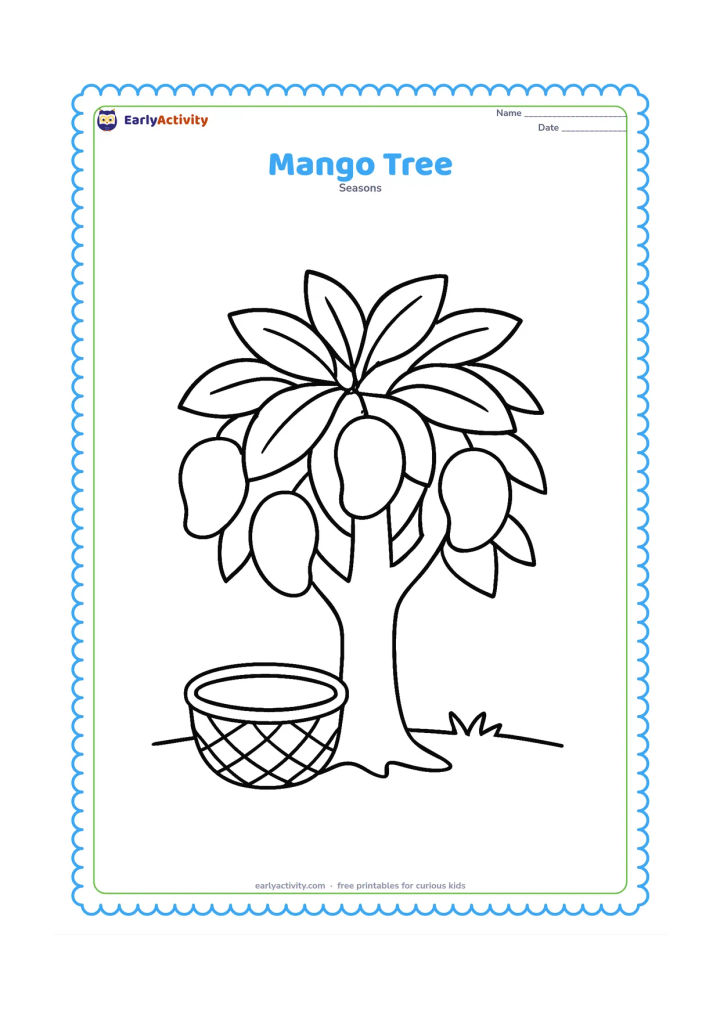 Colouring page: A friendly-looking mango tree fills the scene with a thick trunk, broad leaves and several large mangoes. Place a round basket beneath it and add a low grassy ground line.