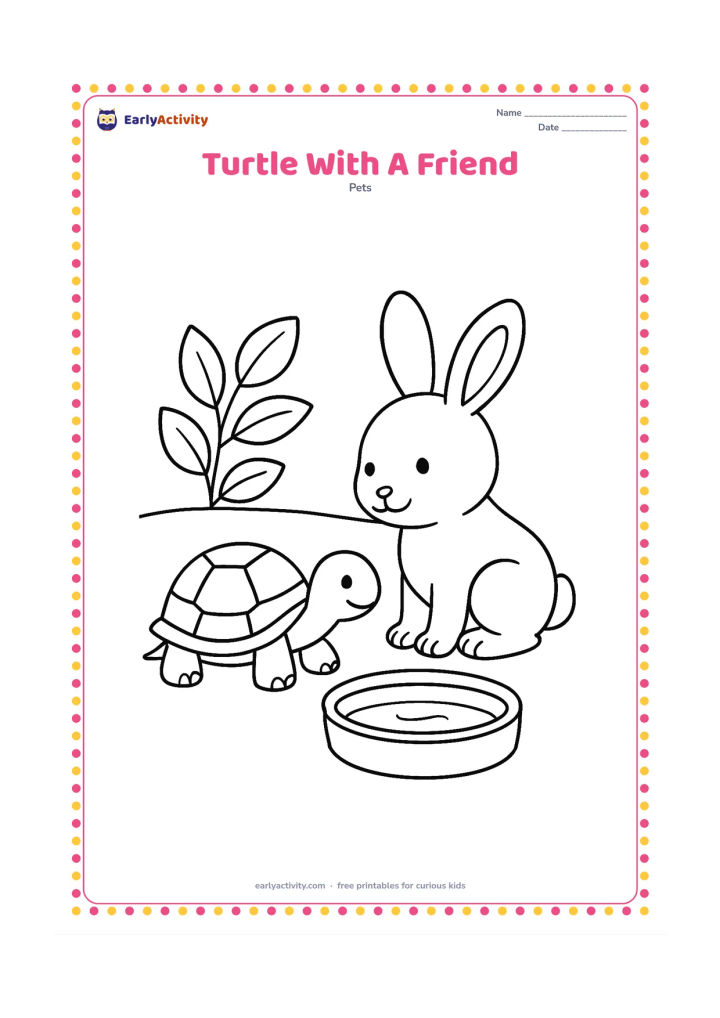 Colouring page: A pet turtle rests beside a friendly small rabbit near a water dish and leafy plant. Both animals face one another peacefully, with the turtle clearly identified by its shell.