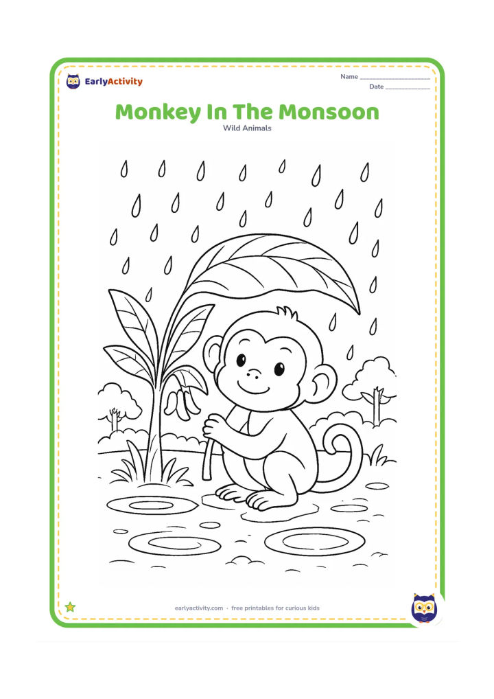 Colouring page: Draw one monkey sheltering beneath broad leaves during gentle monsoon rain. Include puddles, wet ground, a banana plant and distant trees.