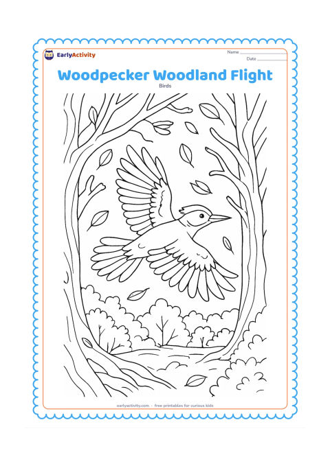 Colouring page: A woodpecker flies through a detailed woodland gap between twisting branches, with spread wings, tail feathers and a few falling leaves visible. Add layered trunks, shrubs and distant…