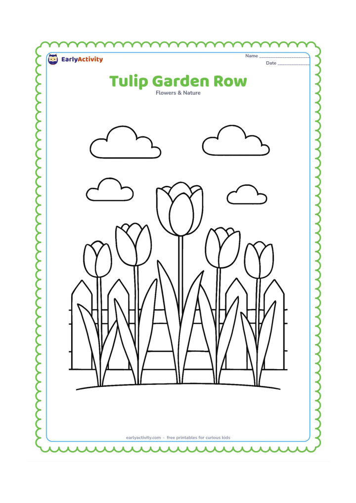 Colouring page: Draw five tulips in a neat garden row, with varied flower heights, long leaves and a low picket fence behind them. Add a few simple clouds in the sky.