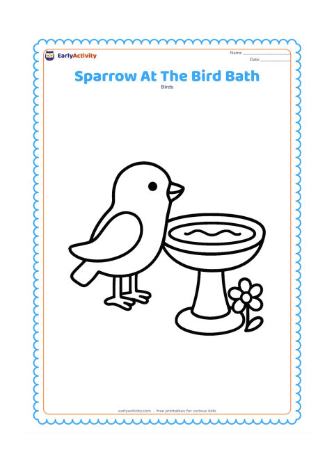 Colouring page: Draw one sparrow standing beside a shallow, rounded bird bath. Include a few large water ripples, one flower, and a simple pedestal.