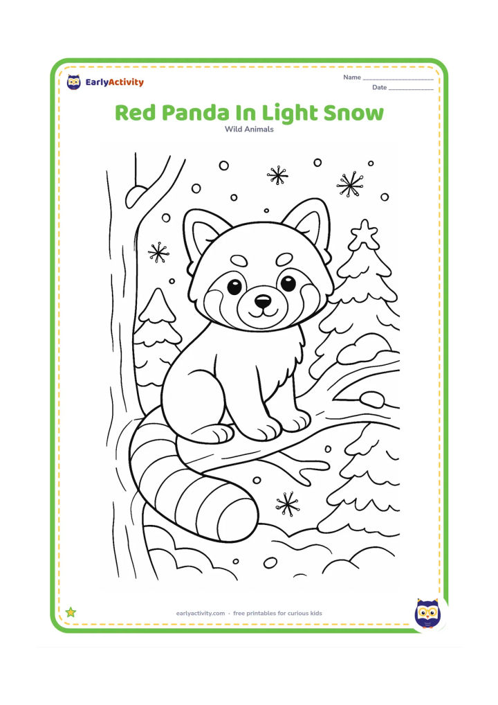 Colouring page: Draw a red panda sitting on a snowy branch in a cool Himalayan forest, with rounded snow patches on nearby branches and a few large snowflakes around it. Keep the animal's face, ears and…
