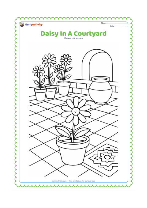 Colouring page: Draw potted daisies arranged in an Indian courtyard, with a low wall, patterned floor tiles, a clay pot and a small rangoli-inspired geometric border on the ground. Include one open…