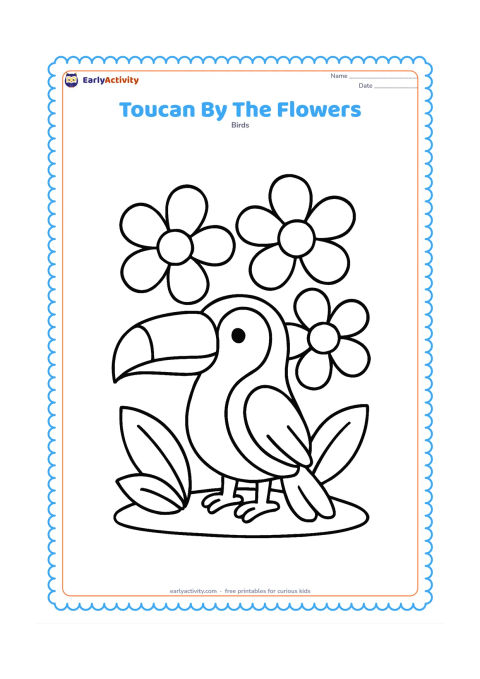 Colouring page: A toucan stands beside three big tropical flowers with round centres and broad petals. Place the bird on a simple patch of ground with two large leaves near its feet.
