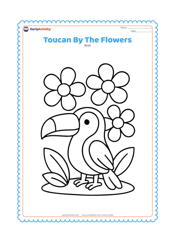 Colouring page: A toucan stands beside three big tropical flowers with round centres and broad petals. Place the bird on a simple patch of ground with two large leaves near its feet.