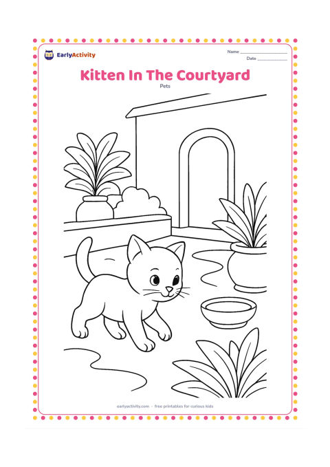 Colouring page: A kitten walks through an Indian-style home courtyard beside a low wall, clay plant pots and a simple doorway. Add a small water bowl and broad leafy plants.