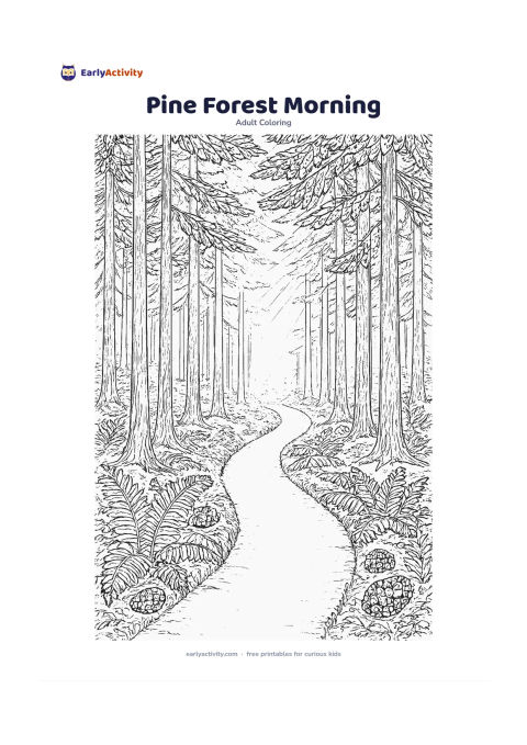 Colouring page: A quiet pine forest at morning, with a broad trail between tall trunks, pinecones on the ground, low ferns and sunbeams filtering through layered branches. Show the path narrowing toward…