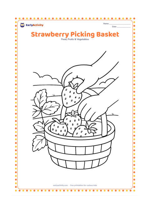 Colouring page: Draw a child's hands placing a strawberry into a woven basket already holding several strawberries, with a few leaves and a garden row behind.