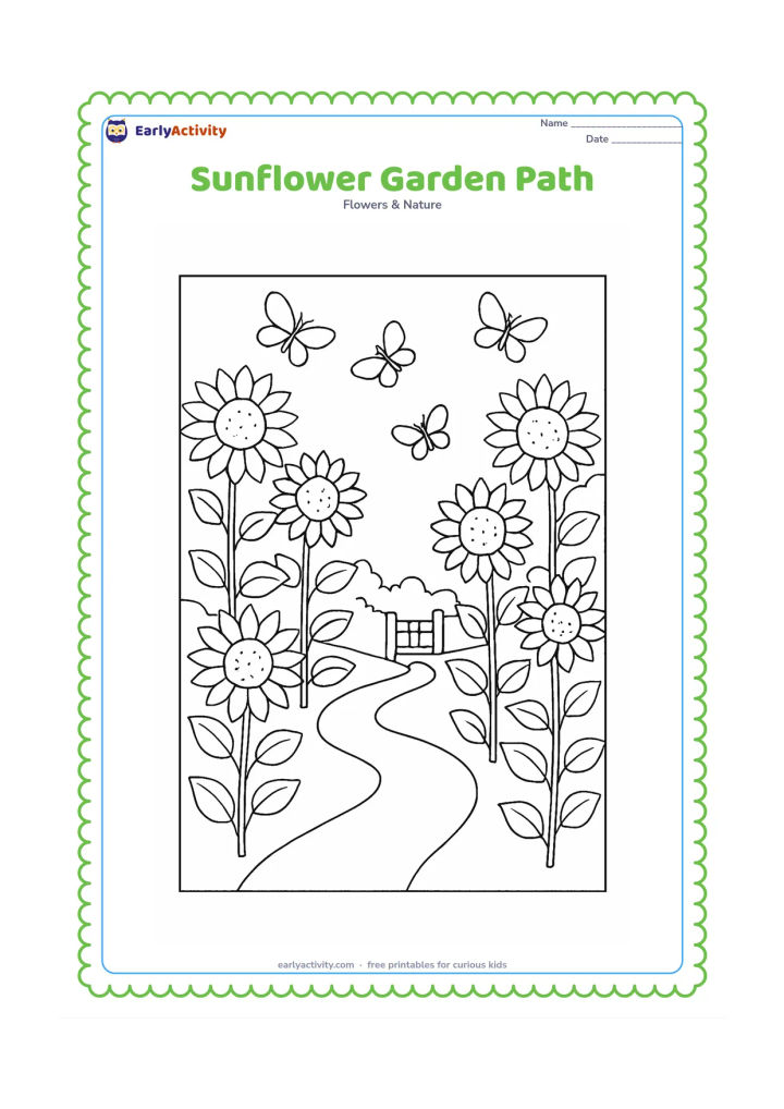 Colouring page: A winding garden path leads between two groups of sunflowers, with several open blooms, leaves, stems, and a small wooden gate in the distance. Add a few butterflies above the path.