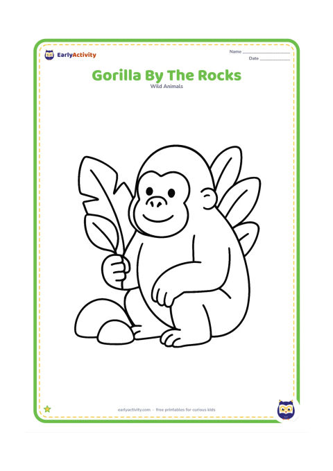 Colouring page: A gentle gorilla sits beside two rounded rocks, holding a broad leaf in one hand. Add a few large leafy plants behind its shoulders.
