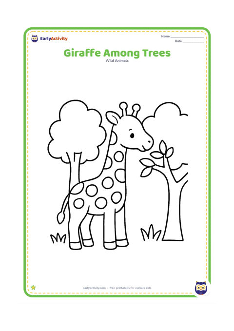 Colouring page: A young giraffe stands calmly between two trees, reaching toward a low leafy branch. Show its long neck, simple patches, and a few grass tufts.