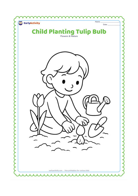 Colouring page: Draw a child kneeling beside a garden patch, placing a tulip bulb into a small hole in the soil with a hand trowel nearby. Show one sprouted tulip beside the child and a small watering…