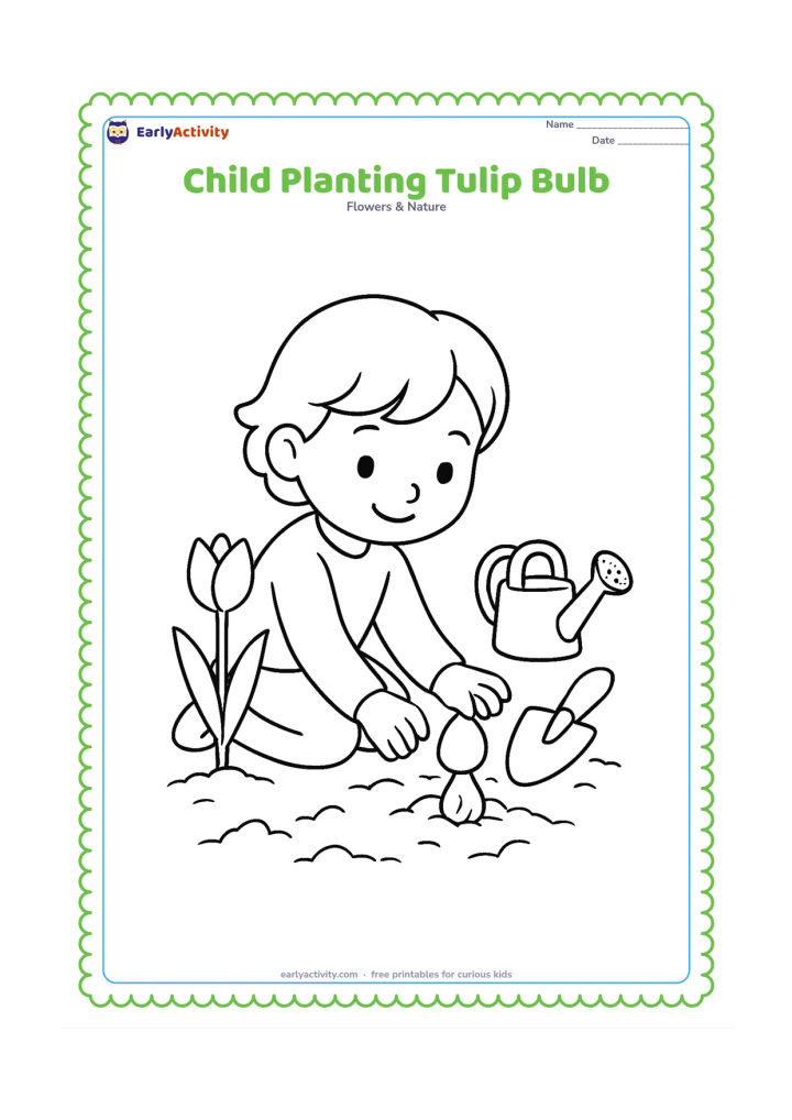 Colouring page: Draw a child kneeling beside a garden patch, placing a tulip bulb into a small hole in the soil with a hand trowel nearby. Show one sprouted tulip beside the child and a small watering…
