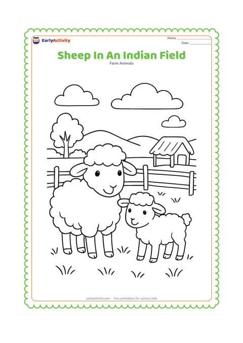 Colouring page: A sheep and lamb stand in a grassy Indian countryside field beside a simple woven fence, with a small thatched shelter, distant trees and a broad sky. Keep the animals as the main focus.