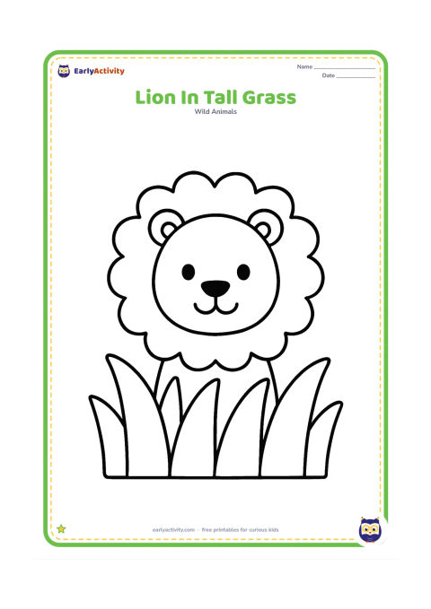Colouring page: A friendly lion peeks above a few large rounded grass blades, with its face and mane fully visible. Place three or four oversized grass shapes across the bottom of the page.