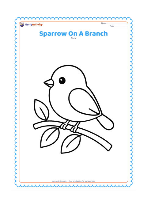 Colouring page: Draw one large sparrow perched on a gently curved leafy branch. Add three or four large leaves and a clear rounded tail.