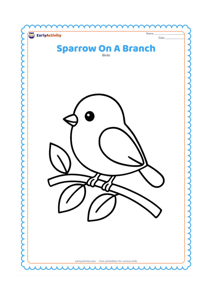 Colouring page: Draw one large sparrow perched on a gently curved leafy branch. Add three or four large leaves and a clear rounded tail.