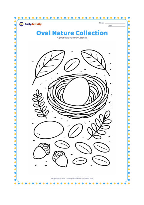 Colouring page: Draw a nature arrangement featuring oval leaves, an oval pebble, an oval bird egg in a nest and several oval flower petals on a forest floor. Include small ferns and a few acorns without…