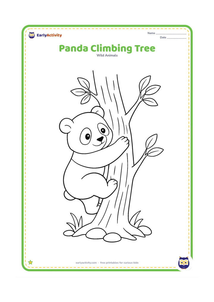 Colouring page: Draw a panda climbing a thick tree trunk with its front paws high and back paws gripping the bark. Add a few leafy branches and smooth stones at the base.