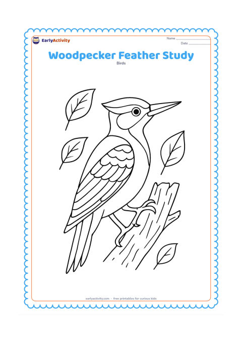 Colouring page: A large side-view woodpecker fills most of the page, showing its pointed beak, eye, wing pattern, claws and stiff tail feathers. Surround it with a few separated leaves and a short…